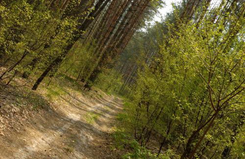 Prospect Cottage Fabulous Home In Stunning Rhondda Valley By STAE-Homes - Foto 29