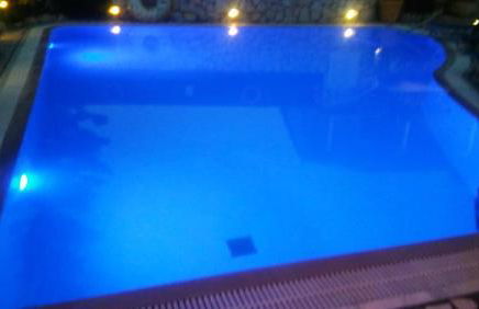 Golden Star - Foto 28