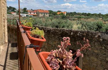 Encanto Casa com Spa Jacuzzi Open Space Castelo Branco - Foto 23