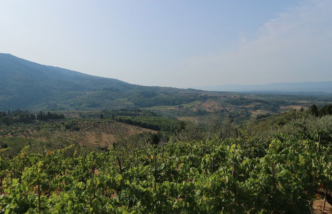 Agriturismo Poggio di Montepescoli - L'aia - Foto 41