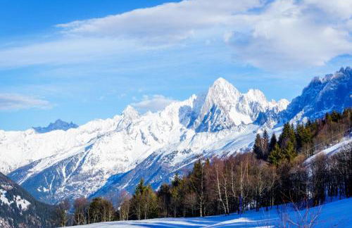 La Savoy 1 - Thermes de Saint-Gervais - Happy Rentals - Foto 28