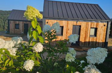 Stodoły w Bieszczadzie domy z basenem i widokiem na góry - Photo 1