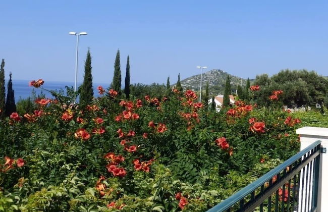 Vila Morska Sirena - Foto 20