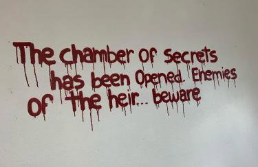 Aconchego do Harry Potter - Foto 34