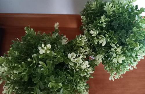 Presolana Home - Photo 13