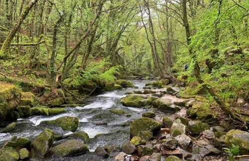 Horseshoe Cottage - Foto 52