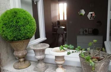 La Maison aux volets bleus 37 m3, Bords de Saône - Foto 19