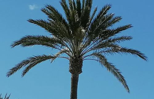 Mirador De Aguamarina - Foto 24