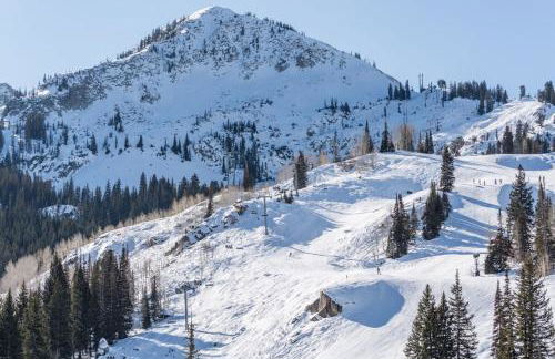 Brighton Ski Resort Hidden Falls 1 Bedroom Chalet Utah - Foto 24
