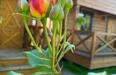 Osada Międzywodzie - Foto 2