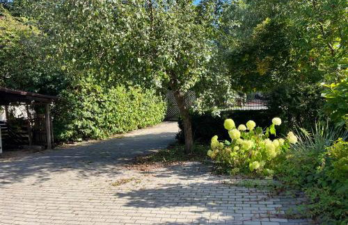 Apartamenty u Natana - Foto 21