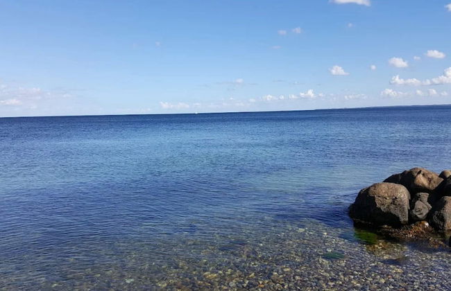 4 Person Holiday Home in Frorup - Photo 48