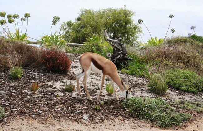 Lodge At Atlantic Beach - Foto 58