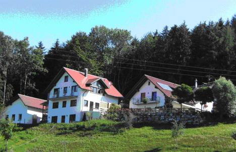 Gasthof Grüner Baum "Kongo" - Foto 2