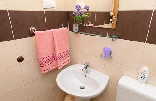 Apartmani Vice - Foto 59