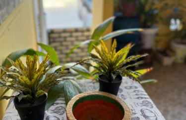 Encanto potiguar sol e mar - Foto 26