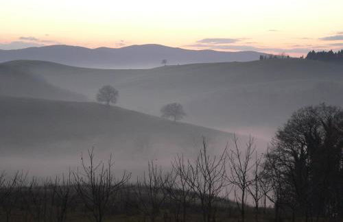 Podere Sant'Antonio - Foto 12