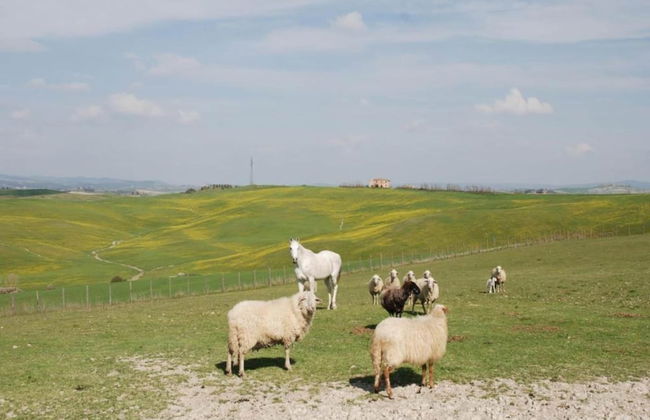 Spacious Tuscan Farmhouse - Foto 35