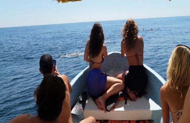 Una emocionante aventura marina por la Costa de Oaxaca - Tour - Foto 8