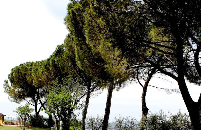 Agriturismo Poggio alle Vigne - Foto 16