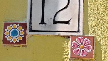 Sunflower's home - Foto 4