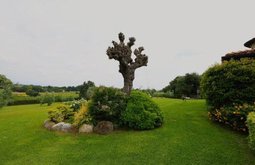 Villa Cristina - Foto 12