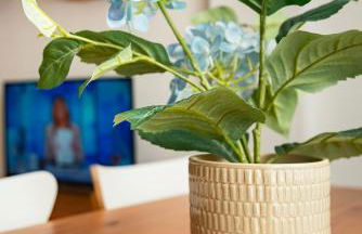 HOME@PORVENIR VFT/SE/03555 - Foto 10