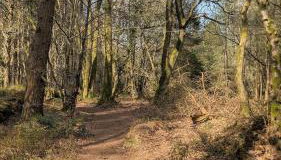 Views for miles - Foto 5