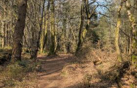 Views for miles - Foto 5