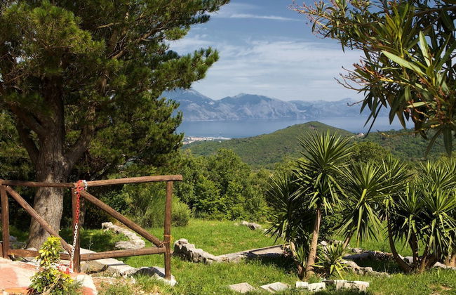 Il Rifugio del Contadino Country House - Photo 55