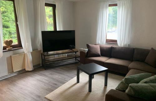 Ferienwohnung an der Oker - Foto 4