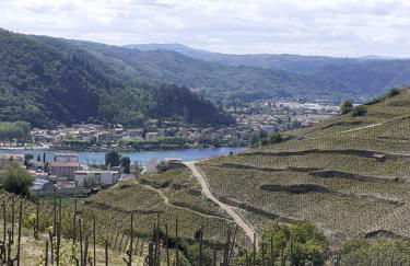 Gîte du vigneron à La Terrasse piscine local vélos - Photo 21