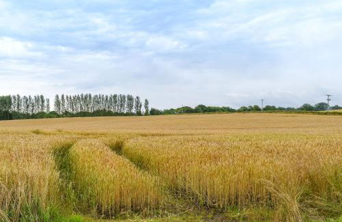 The Cottage At Cauldcoats - Foto 16