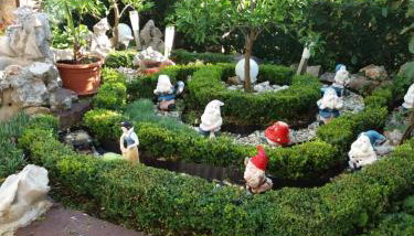 Colic - Foto 4, Garden