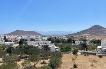 Casa di Ricci Paros - Photo 30