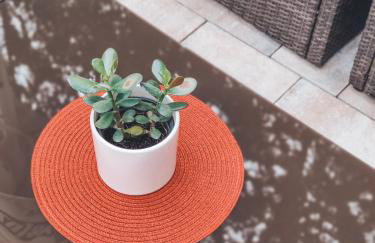 Villa-Apartments Bognar - Photo 43