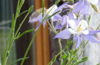 Gîte Sous La Garenne - Foto 23