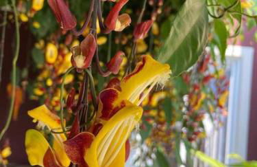 Refúgio Vila da Glória - Photo 21