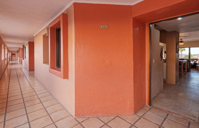 Pinacate 315 by Kivoya - Foto 29