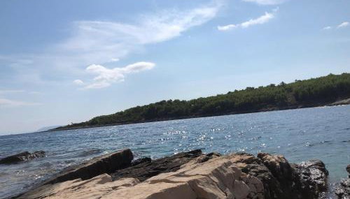 Apartments Antica - Photo 2