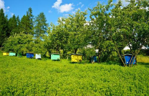 Domek Zacisze - Foto 52