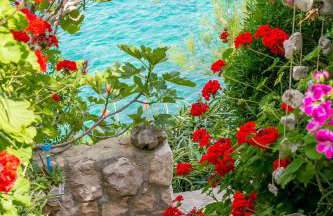 Apartments by the sea Cove Donja Kruscica - Donja Krusica, Solta - 11146 - Photo 10