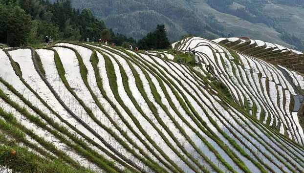 Tour privado por las terrazas de arroz - Foto 2