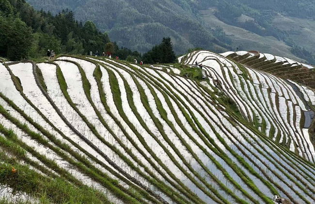 Tour privado por las terrazas de arroz - Foto 2