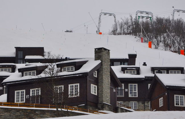 Havsdalsgrenda Apartments - Photo 50