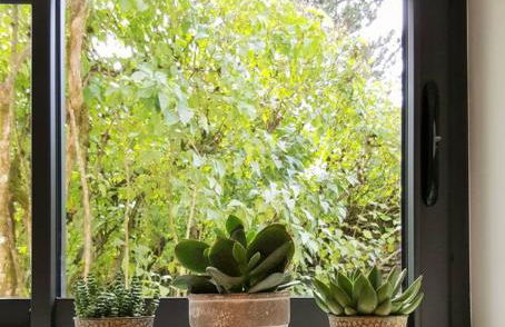 La Maison de l'Ecu : charme et vue incroyable - Foto 28