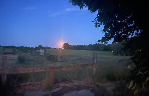 Ferienwohnung mit Kamin und traumhafter Dachterrasse mit Weitblick in die Natur - Foto 31