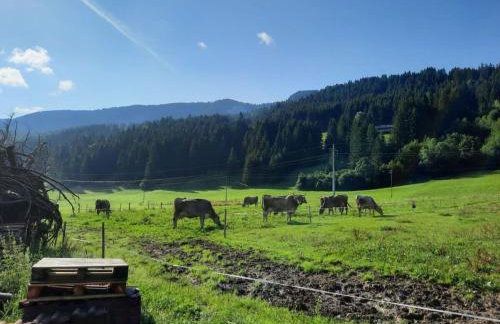 Holiday apartment at Gallus Denneberg - Foto 16