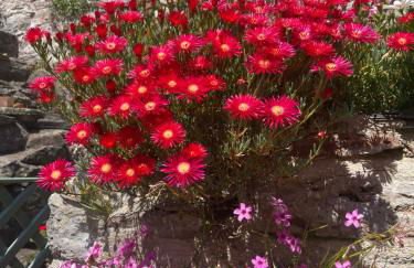 Drift Cottage - Fisherman's Cottage Brixham harbour - Photo 13