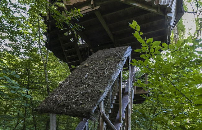 L'Arbre à Cabane - Foto 14